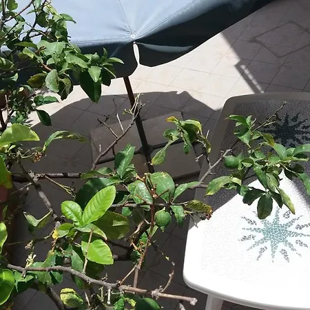 Arcobaleno 3* Custonaci